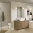 Lifestyle Questions for the Bath Below are just a few of the questions you should ask yourself when considering the design and function of your new bath. What features would make the bath more comfortable...