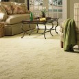 Is a Carpet the Best Flooring Nowadays? Carpets have been around for a very, very long time. One carpet from the fifth century BC still survives today, and there is evidence that carpets had been made for...