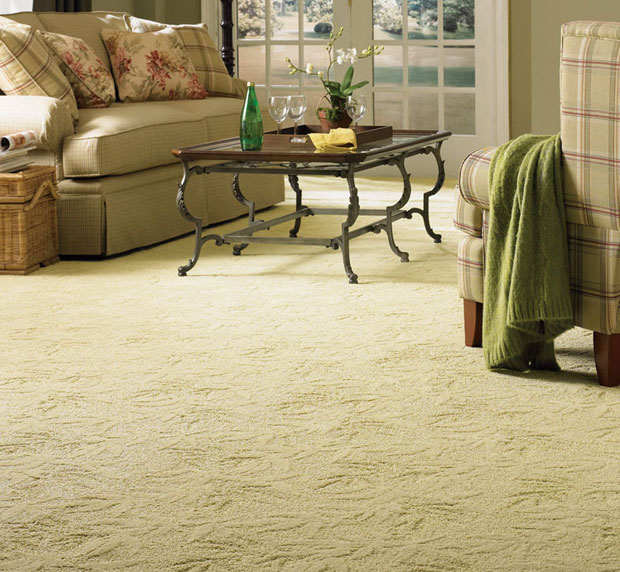 Is a Carpet the Best Flooring Nowadays? Is a Carpet the Best Flooring Nowadays?