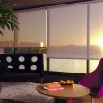 Creating Dynamic Window Coverings Without Breaking the Budget When creating dynamic window coverings, it?s important to choose carefully, because your window coverings will become the focal points of a well-decorated room. But choosing the right window treatments, at...